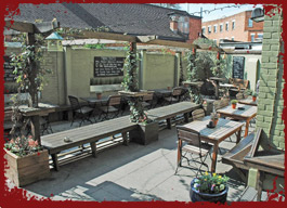 The Urban Haven